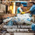 Impulsemos la Economía Circular en México